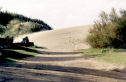 duna.jpg (15624 bytes)