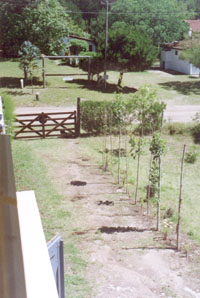 entrada.jpg (25430 bytes)