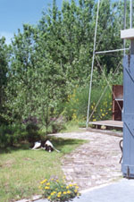 torrejpg.jpg (21060 bytes)